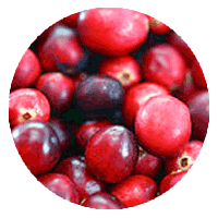 Cranberry