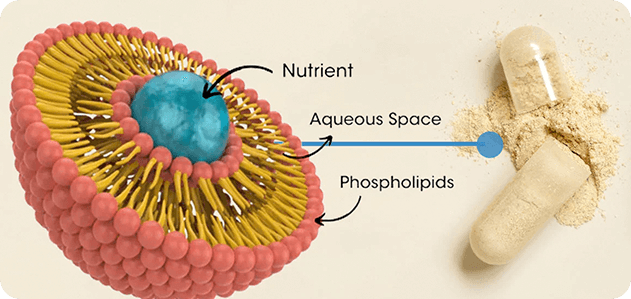 GenuinePurity Ashwagandha