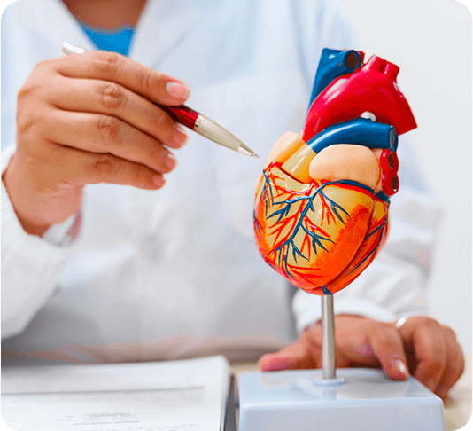 GenuinePurity Vitamin K2 D3