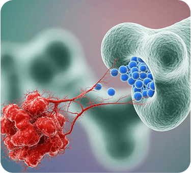 Build Strong Bones & Teeth - GenuinePurity Vitamins D3 & K2