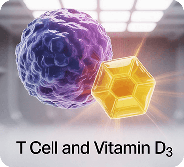 Reinforce Immune System Function - GenuinePurity Vitamins D3 & K2