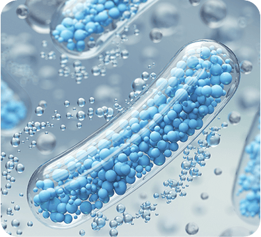 Lactobacillus Acidophilus