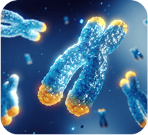 GenuinePurity Liposomal Apigenin