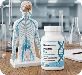 GenuinePurity Liposomal PEA